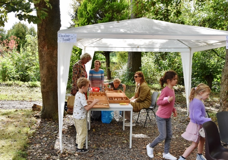 DSC_0011 (800x664).jpg